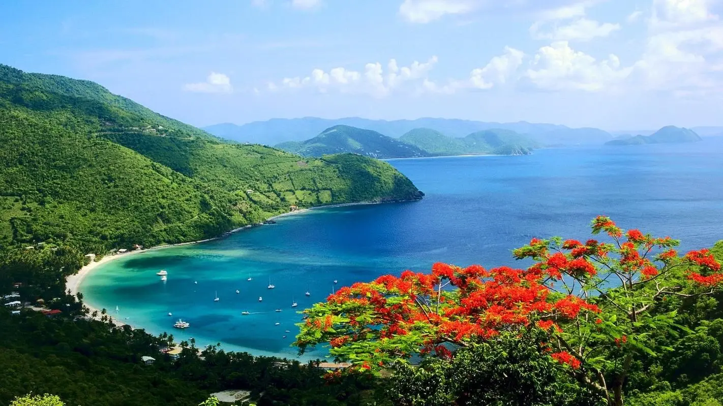 高标准智能化
